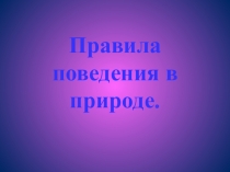 Презентация Правила в лесу.