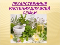 Презентация семейного клуба на тему Лекарственные растения для всей семьи