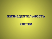 Жизнедеятельность клетки, ее деление и рост.