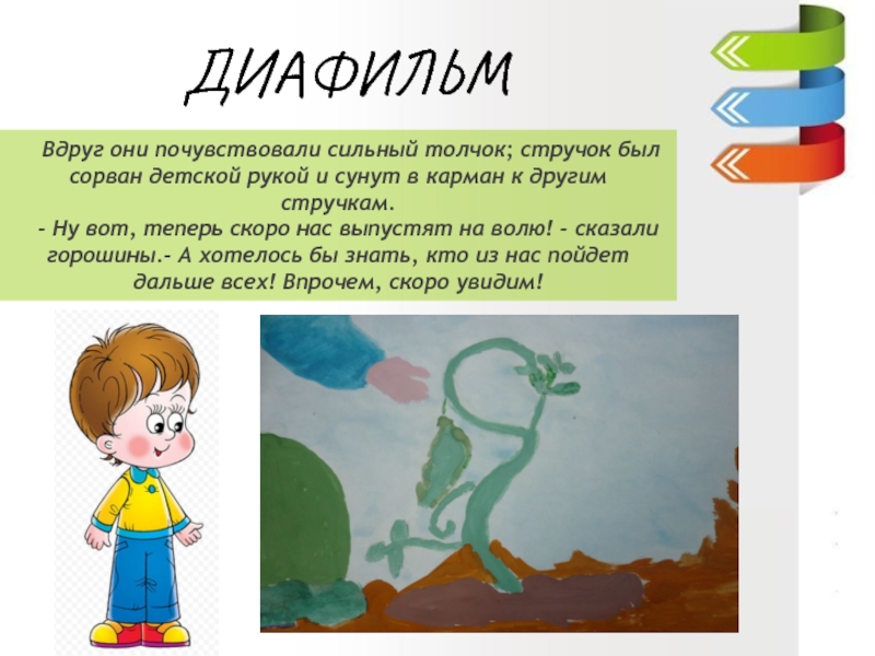 Ганс –Христиан Андерсен«Пятеро из одного стручка»ДИАФИЛЬМ 3 класс «В» МОУ «Гимназия №5» Учитель : Куликова Ирина Николаевна 