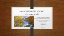 Презентация проекта Древесный или что я знаю о деревьях ?