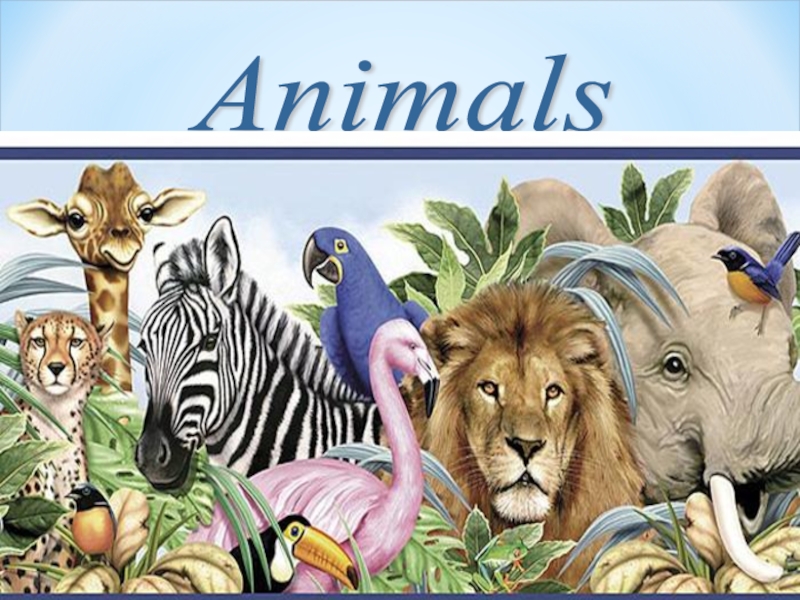 Презентация По английскому языку на тему Animals (3 класс)