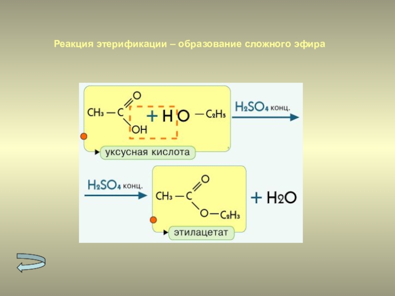 Конц кислота. Реакция этерификации реакция карбоновых кислот +h2. Реакция этерификации образование сложных эфиров. Механизм этерификации карбоновых кислот. Реакция карбоксильной группы этерификация.