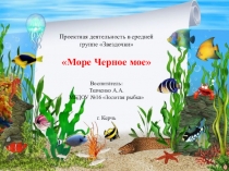 Презентация проекта в средней группе Море черное мое