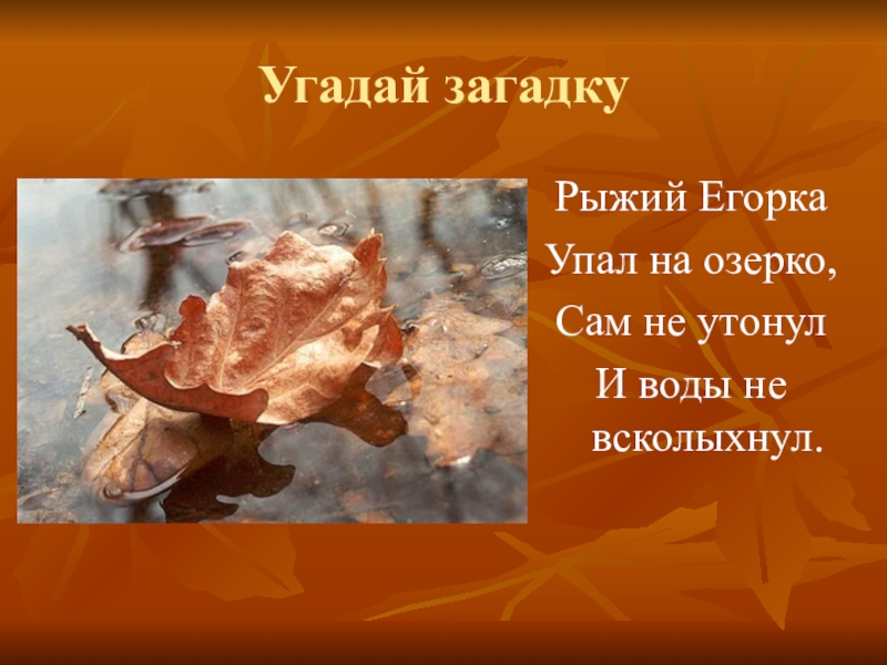 Загадка маленькое беленькое озерко дна не видать. Отгадать загадку рыжий Егорка упал в озерко сам. Рыжий Егорка упал в озерко. Рыжий Егорка упал в озерко сам не утонул и воды. Загадки про рыжих.