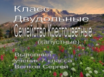 Презентация по биологии на тему Крестоцветные (6 класс)