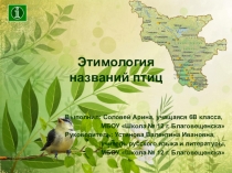 Презентация Этимология названия птиц. Исследовательская работа.