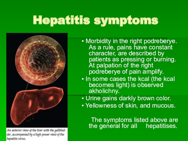 Презентация на тему гепатит