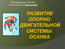 Презентация по биологии на тему Развитие опорно-двигательной системы. Осанка. (8 класс))