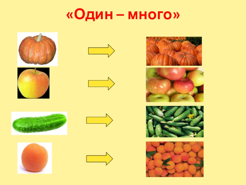 Овощи и фрукты 1 класс презентация