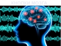 Презентация Кнопки мозга для обучающихся с ОВЗ