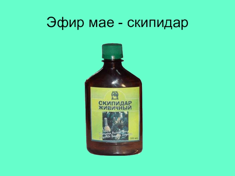 Май эфир. Скипидар масло. Скипидар структура. Нахождение в природе скипидар. Скипидар живичный Малевич 500мл.