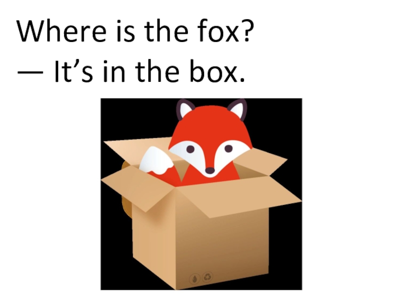 Where the box. Where is the Fox. Fox in Box. The Fox is in the Box. Fox in the Box for Kids.