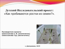 Детский исследовательский проект как пробиваются ростки из семян