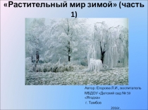 Презентация к НОД Растительный мир зимой