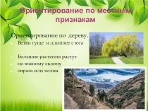Тестовые задания по ОБЖ 6 кл Ориентирование по местным признакам.