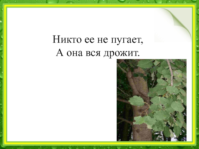 Никто дрожать. Никто ее не пугает а вся дрожит. Загадка никто не пугает. Загадка никто не пугает а вся дрожит. Никто не пугает а она дрожит.