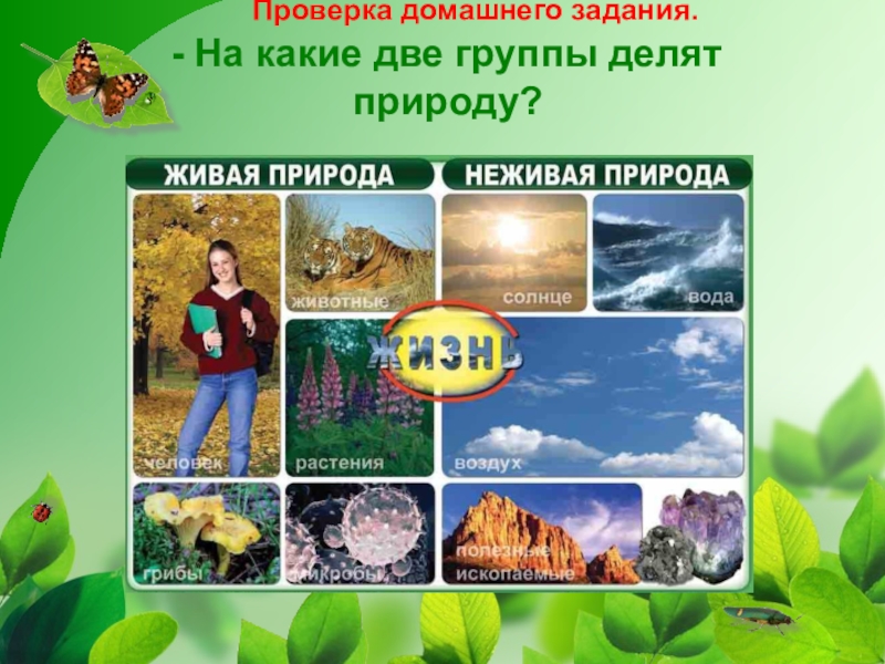 Конспект человек мир природы и человека. На какие группы делят природу. Живая природа 3 класс. Группа на природе. - На какие большие группы делится Живая природа?.