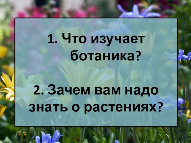 Почему каждому человеку необходимы знания о растениях