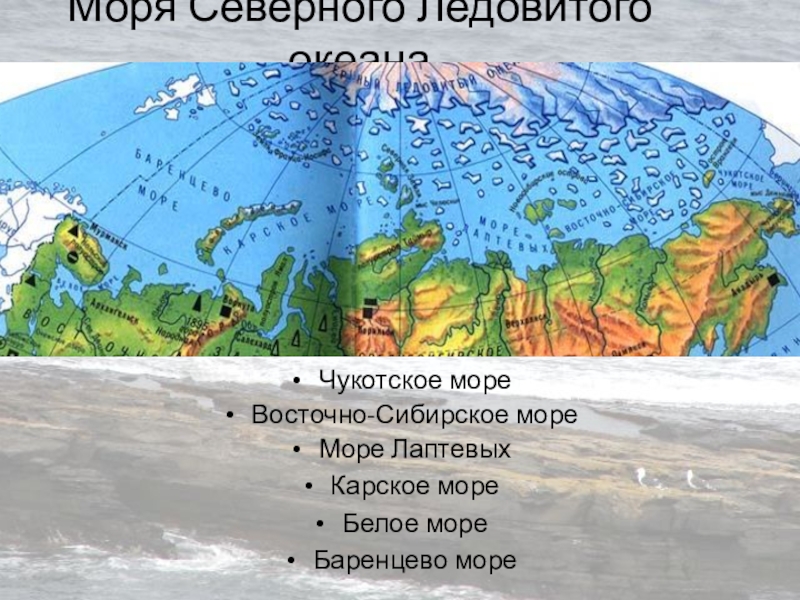 Проект моря северного ледовитого океана