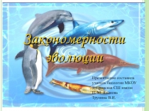 Презентация по биологии на тему:Закономерности эволюции