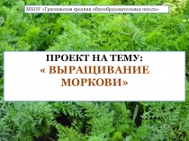 Руки работают, а голова кормит