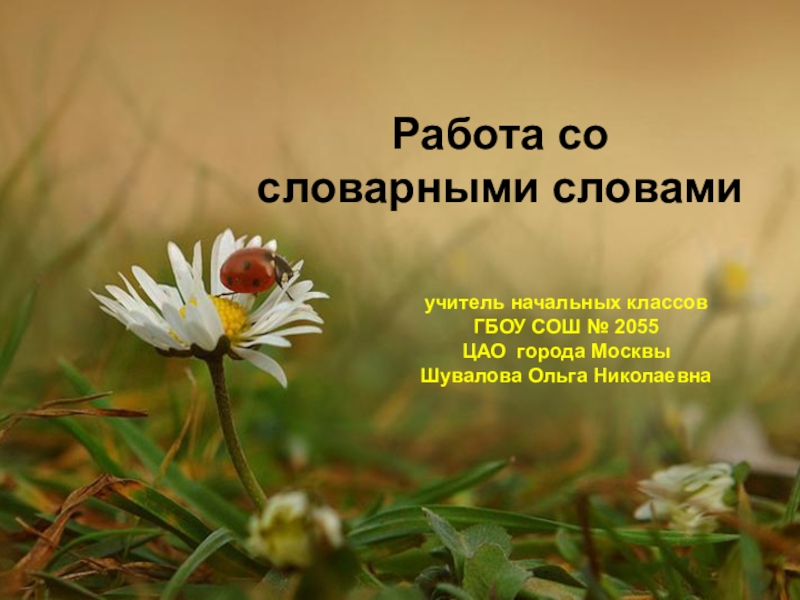 Презентация Презентация по русскому языку на тему Словарная работа на уроках