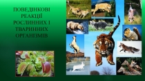 Поведенческие реакции растительных и животных организмов 6,7.10 (профиль) классы