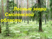 Презентация для младших школьников К проекту Лесные звери Смоленской области