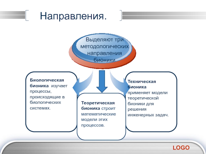 Бионика как одно из направлений биологии и кибернетики презентация