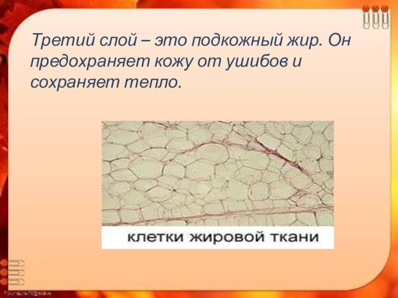 Окружающий мир надежная защита организма презентация. Защита кожи окружающий мир 3 класс. Презентация надежная защита организма. Сообщение на тему надёжная защита организма. Кожа человека 3 класс окружающий мир.