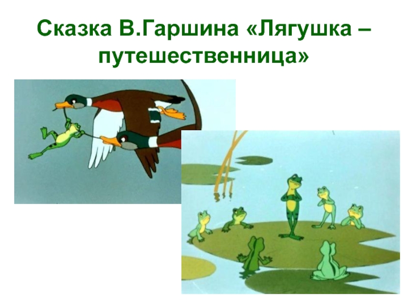 Характеристика лягушки путешественницы. Сказка Гаршина лягушка путешественница. Литература план сказки лягушка путешественница. План к сказке лягушка путешественница с иллюстрацией. Лягушка путешественница главные герои.