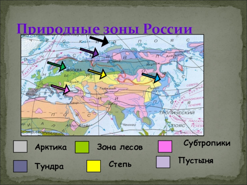 Самая маленькая зона в нашей стране. Карта природных зон. Природные зоны России. Природные сезоныроссиии. Карта природных зон России.