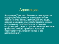 Презентация Адаптации 11 класс