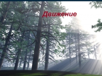 Презентация по биологии. Опорные системы живонтных