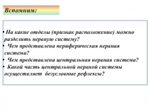 Презентация по биологии на тему Спинной мозг