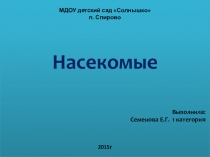 Презентация Насекомые для детей средней группы