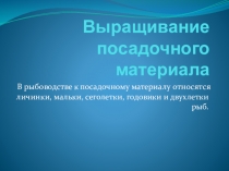 Презентация Выращивание посадочного материала рыб