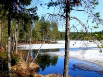 Презентация по обучению детей родному языку Весеняя головоломка