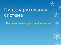 Презентация по биологии на тему Пищеварительная система