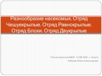 Презентация Разнообразие насекомых. Отряды чешуекрылые, блохи, равнокрылые, двукрылые