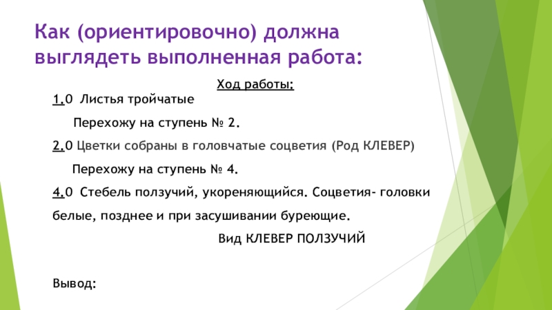 Презентация ход работы