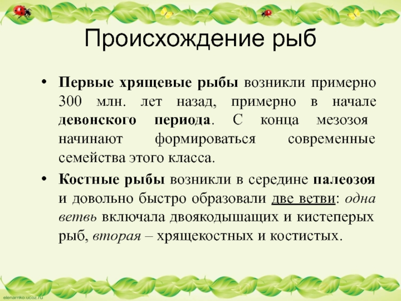 Происхождение рыбПервые хрящевые рыбы возникли примерно 300 млн. лет назад, примерно в начале девонского периода. С конца