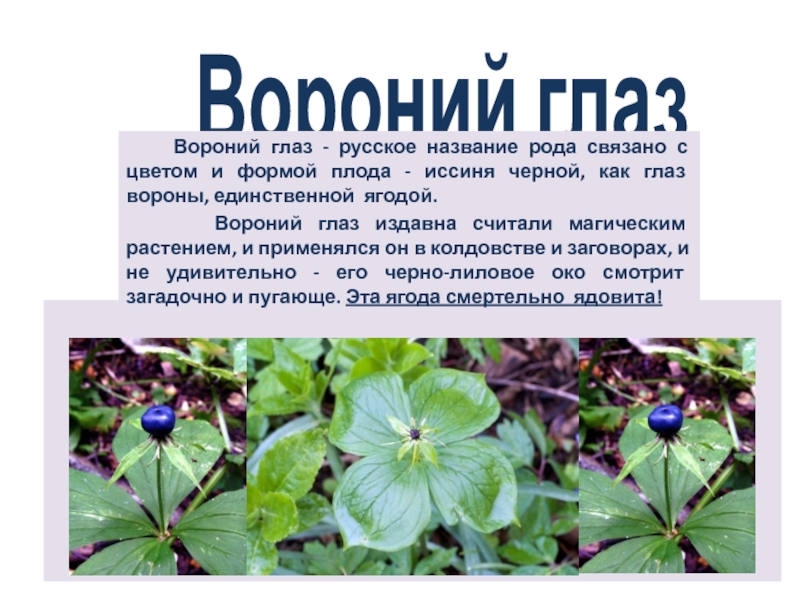 Какие признаки можно обнаружить используя приведенный рисунок вороньего глаза