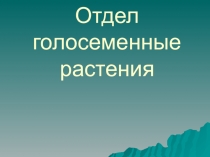 Презентация Голосеменные растения 5 класс