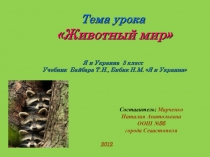 Презентация по окружающему миру