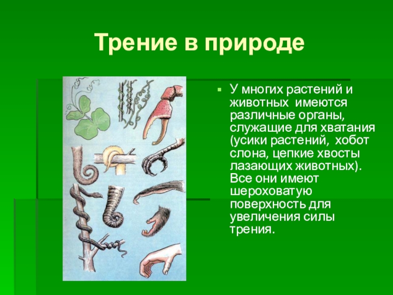 Презентация на тему трение в жизни человека