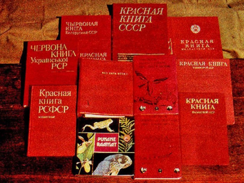 Красный отряд книга