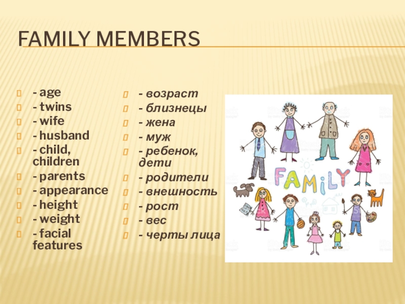 Family members презентация 6 класс