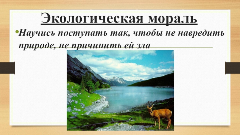 Природа морали. Экологическая мораль. Экологизация морали. Экологическая нравственность. Экологическая мораль 7 класс.